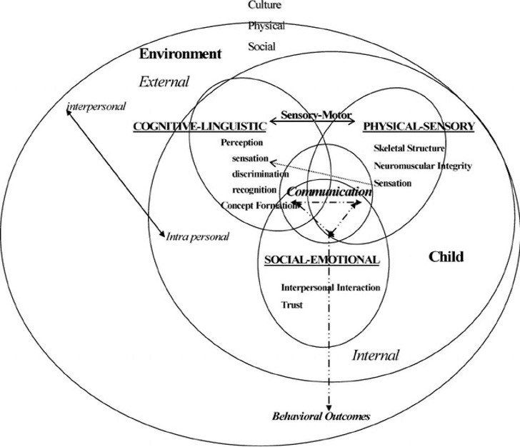 Diagram of PROMPT Conceptual Framework