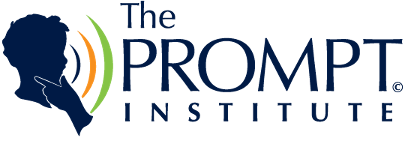Diagram of PROMPT Conceptual Framework